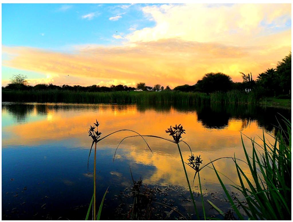 Phakalane Golf Estate Hotel Resort Gaborone Servizi foto